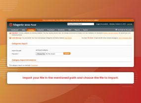 Category Import Export (M1)