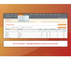 Customer Attributes (M1)