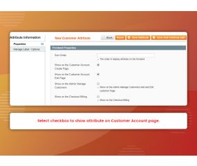 Customer Attributes (M1)