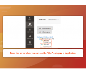 Duplicate Categories (M2)