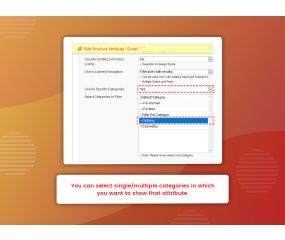 Filter Per Category (M1)