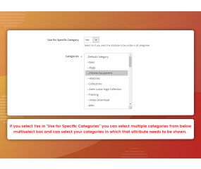 Filter Per Category (M2)