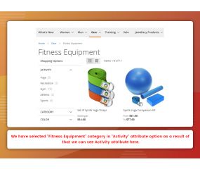 Filter Per Category (M2)