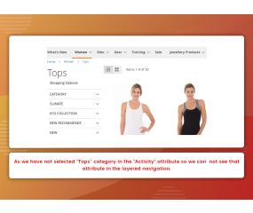 Filter Per Category (M2)