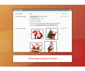 Multi Option Christmas Snowflake (M1)