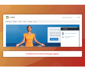 WhatsApp Connect (M2)